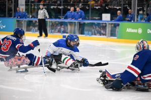 whatsapp image026 03 07 at 18.58.38  