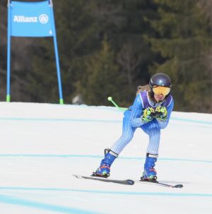 29256b03 5ece 4bfa 8ae8e3feb1ace