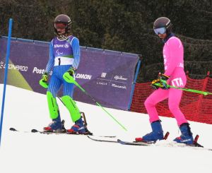 8c927544 0338 4157ba3 a4820eae3ab4